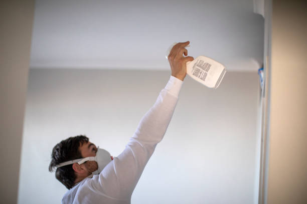Best Best Mold Removal Companies  in Normal, IL