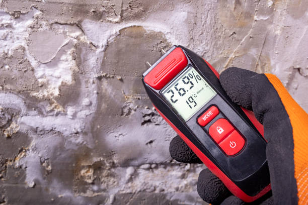 Best Mold Damage Repair  in Normal, IL