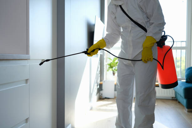 Professional Mold Removal in Normal, IL