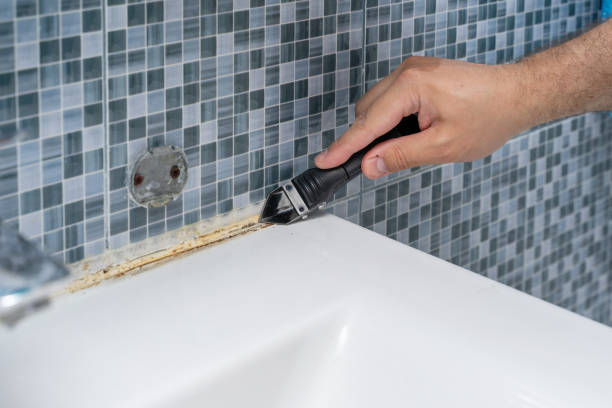 Best Mold Damage Repair  in Normal, IL